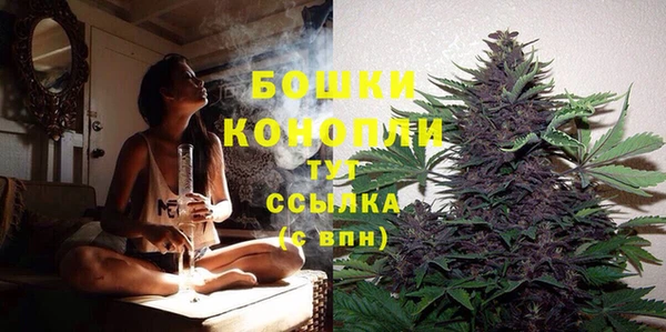 молекула духа Бронницы
