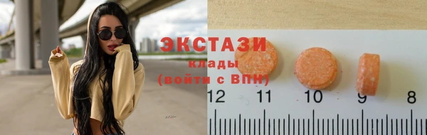 индика Богданович