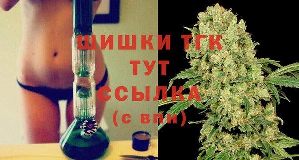 индика Богданович