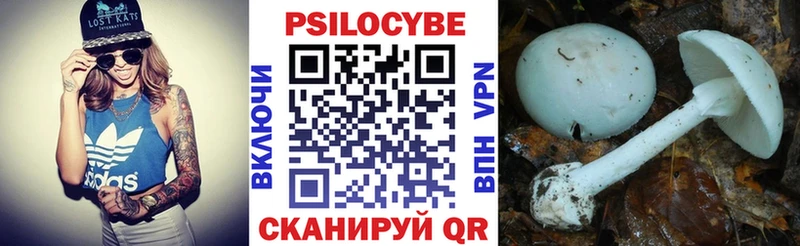 Псилоцибиновые грибы GOLDEN TEACHER  Купить где  Болгар 